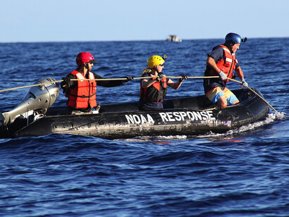 Jedes Jahr verenden 300.000 Wale qualvoll in Fischernetzen. Bild: Einsatz des „NOAA Office of Response and Restoration“ bei einem gestrandeten Wal in Hawaii
