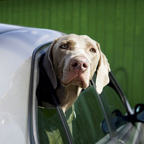 Über Leben am Land. Courtesy of Kunst Haus Wien