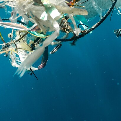 Le microplastiche minacciano la salute degli ecosistemi marini