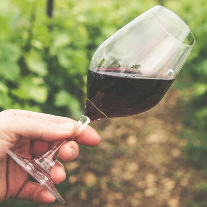 O Woodinville Farmers Market traz produtos frescos e artesanato local, ideal para quem busca uma experiência autêntica e vibrante