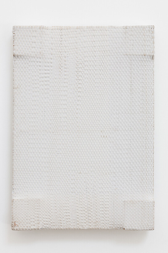 Jarbas Lopes. Elastica