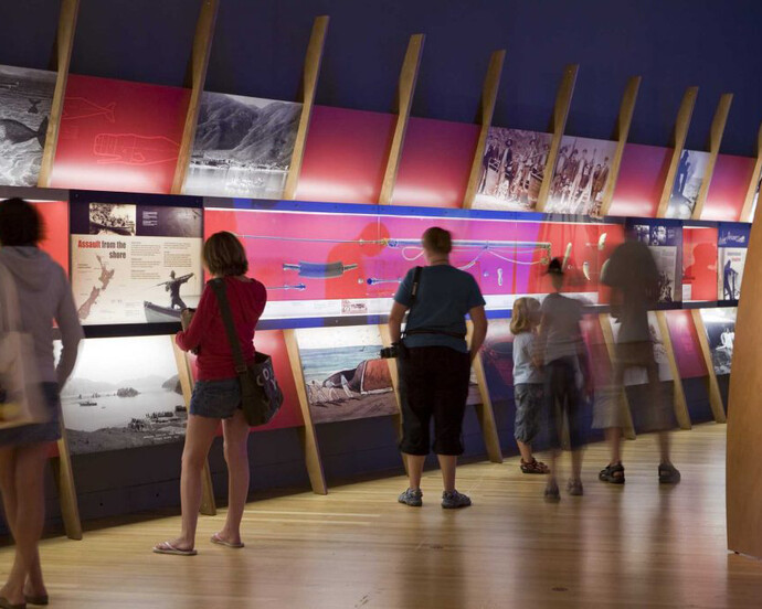 Whales: Giants of the Deep, Exhibition view. Courtesy of Witte Museum 
