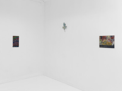 Sharon Xinran Zhang, Enabler and vanilla conjuring (纵容者和寻常戏法), exhibition view. Courtesy of Lubov