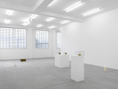 Gabriel Sierra, Pensieri belli, vista della mostra. Cortesia di Galleria Franco Noero