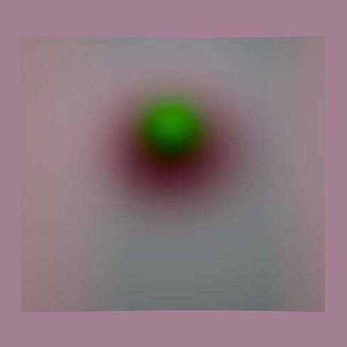 Rosespe_095
de Anne-Sarah Le Meur
Tirage sur papier argentique contrecollé sur aluminium
5 exemplaires + 1 ea
76 x 88
2018