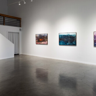 Dax van Aalten, Incidental meditations, exhibition view. Courtesy of Red Arrow Gallery