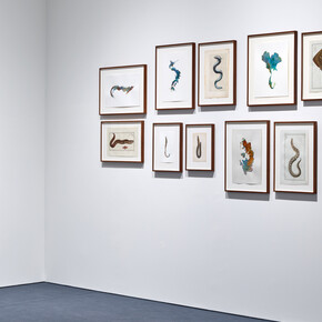 Anri Sala. Courtesy of Mudam Luxembourg