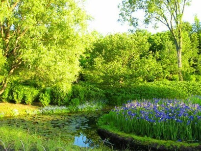 Estanque en el Jardín Botánico de Montreal