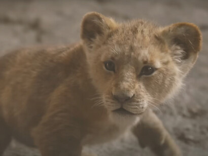 The magic of the Pride Lands in 'The Lion King' 2019