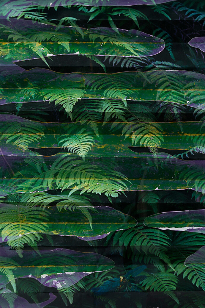 Letha Wilson, Ferns Green Cement Fold (2014) Unique C-print, white portland cement cm. 43.18x35.56x2.54 (in. 17 x14 x1 )