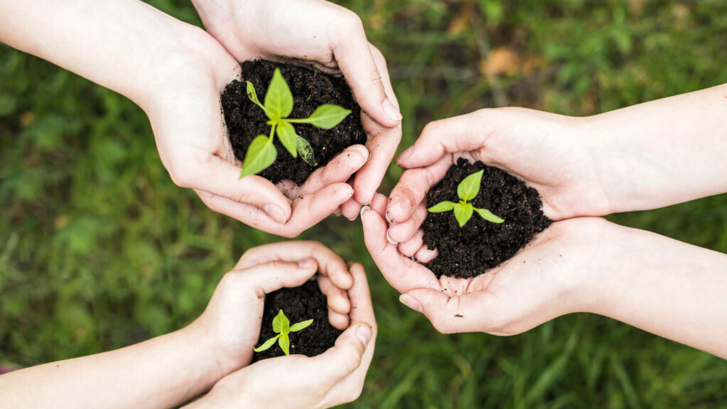 La protection de l'environnement naturel est étroitement liée au processus de paix des populations