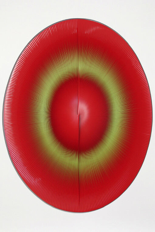Alberto Biasi, Dinamica ellittica in rosso, 1981