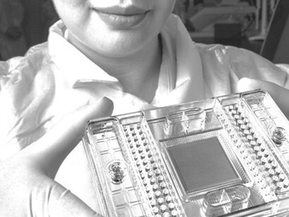 Estudiando nuevos métodos para detectar bacterias transmitidas por alimentos directamente de una muestra de un paciente