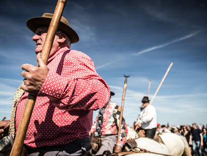 Saintes Maries de la Mer - Un gitano durante la processione 