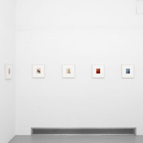 Dietmar Busse, My life as a flower, exhibition view. Courtesy of Clamp 