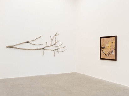 Clarissa Tossin, Piante vagabonde, veduta della mostra. Cortesia di kaufmann repetto