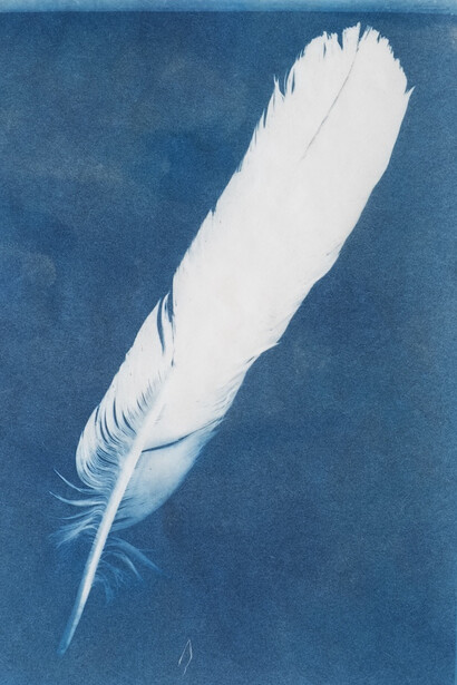 Georgina Reskala, Blue feather (detail), 2026. Courtesy of PDX Contemporary Art