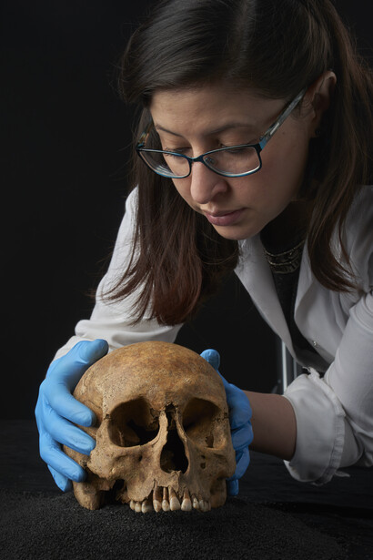 A human skull under inspection © Museum of London 