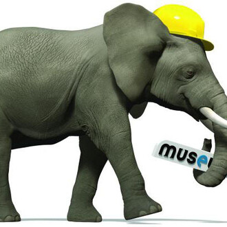 Museum Renovation. Courtesy of Royal Belgian Institute of Natural Sciences