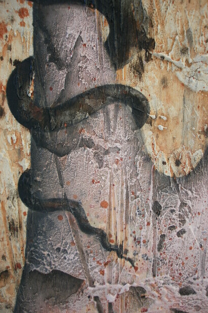 Sophia, dettaglio serpente