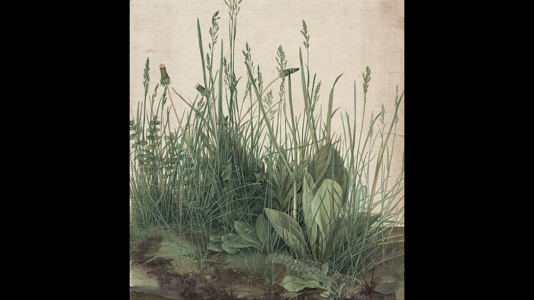 Albrecht Dürer. Courtesy of Albertina Museum