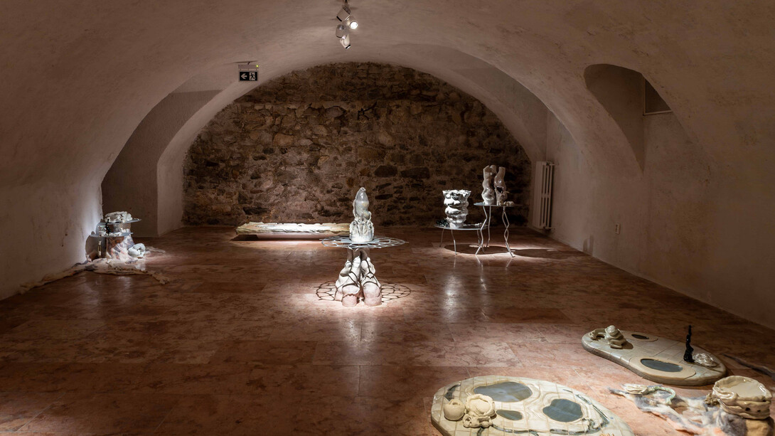 Katarína Bajkayová, Prunus perisca, exhibition view. Courtesy of the Bratislava City Gallery