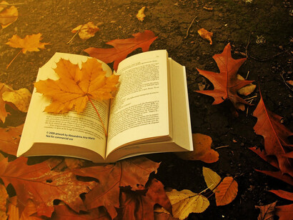 Hojas llenas de poesía