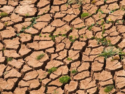 Growing pressure on ecosystem is increasing the phenomena of desertification around the world