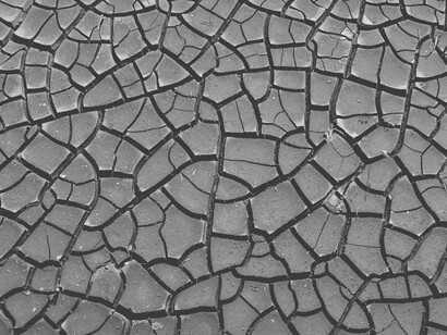 O que era semiárido caminha a passos largos para se tornar árido. A desertificação deixaria de ser uma ameaça em algumas áreas para se tornar uma cicatriz permanente na paisagem, engolindo pequenas propriedades, expulsando famílias do campo e tornando a agricultura de subsistência, que alimenta milhões, praticamente inviável. É uma tragédia social e ambiental anunciada