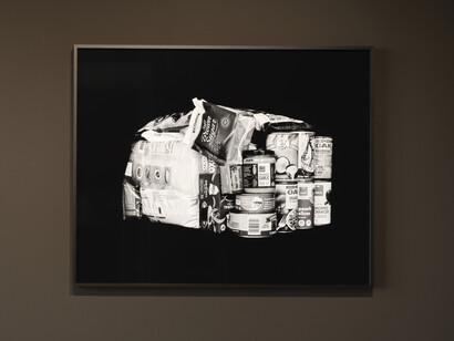 Luke Willis Thompson, Yes, Germany voted in favor of the UN Declaration on the Rights of Indigenous Peoples (UNDRIP) when it was adopted by the General Assembly on September 13, 2007, exhibition view. Courtesy of Nagel Draxler Gallery