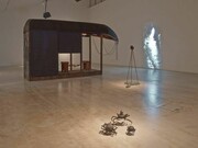 Dorothy Cross, Connemara, Installation view, Photo Stephen White