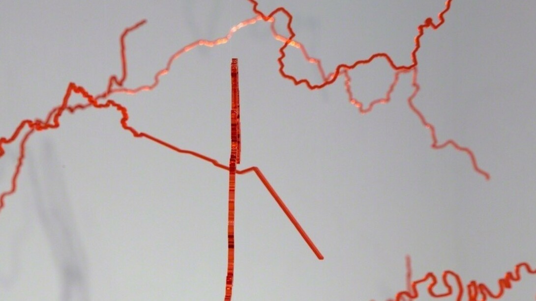 Intermittent Topographies, Exhibition view. Courtesy of Casa Nova Arte e Cultura Contemporanea