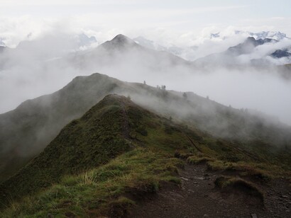 Voglio sentire delle cose, tante cose