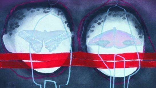 Sue Freeborough, Imago's