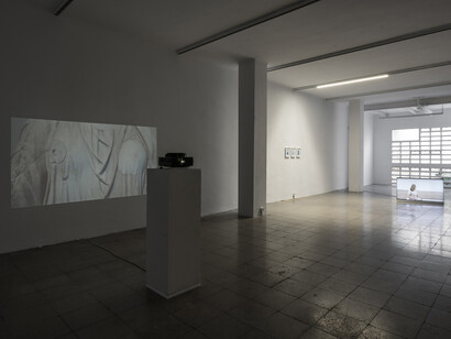 Amie Siegel. Courtesy of Nogueras Blanchard