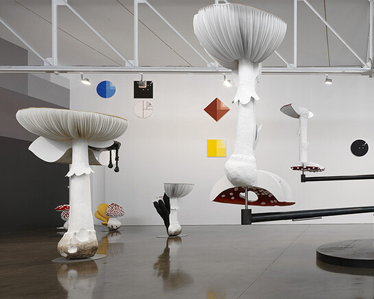 Artwork © Carsten Höller. Photography by Rob McKeever. Courtesy Gagosian.
