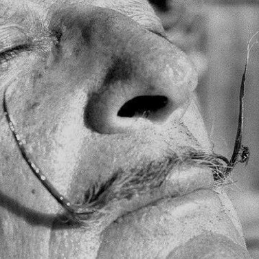 Dali con mosca en su bigote
