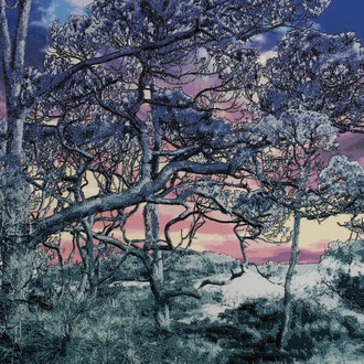 Bradlee Shanks, Sunset (detail). Courtesy of Momentum Gallery