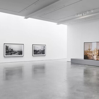 Hiroshi Sugimoto, Unnatural habitat, exhibition view. Courtesy of Lisson Gallery