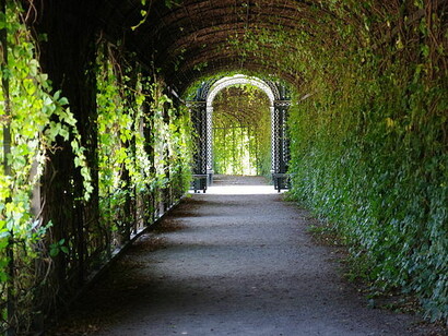 Privy Garden, Palace of Schönbrunn, Vienna, Austria