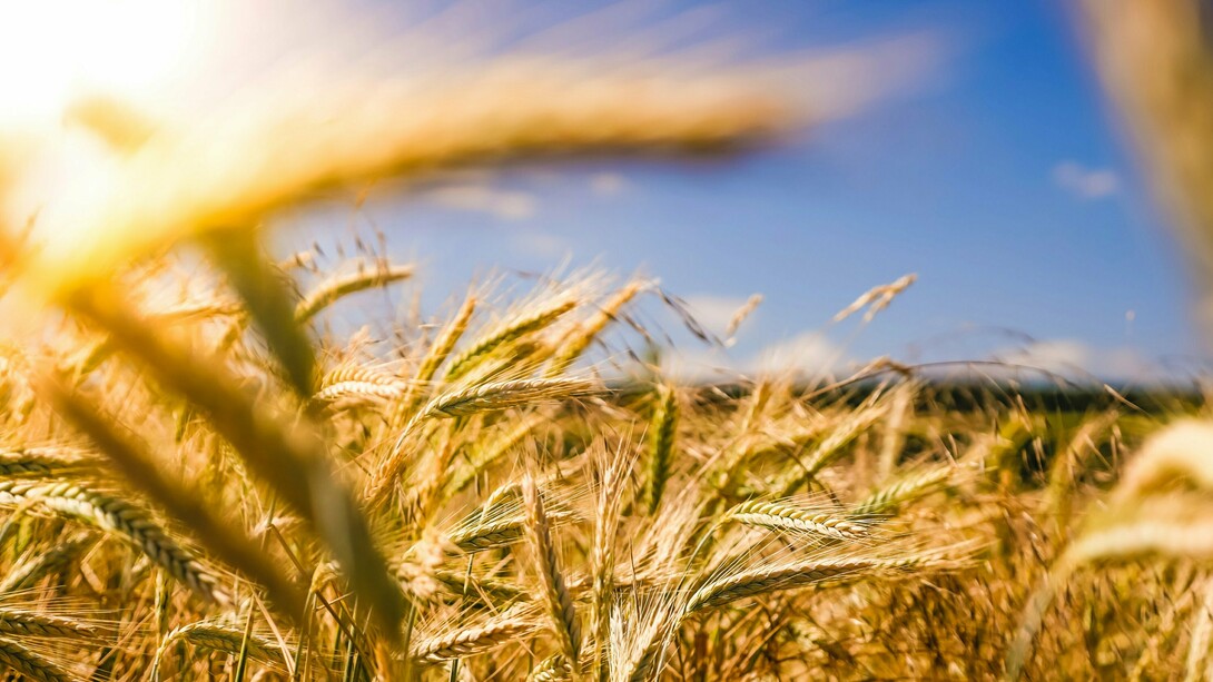 Scarcity or abundance: the choice is ours, and we must make it repeatedly throughout our days