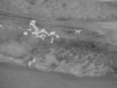 Barbara Ess. Courtesy of Magenta Plains