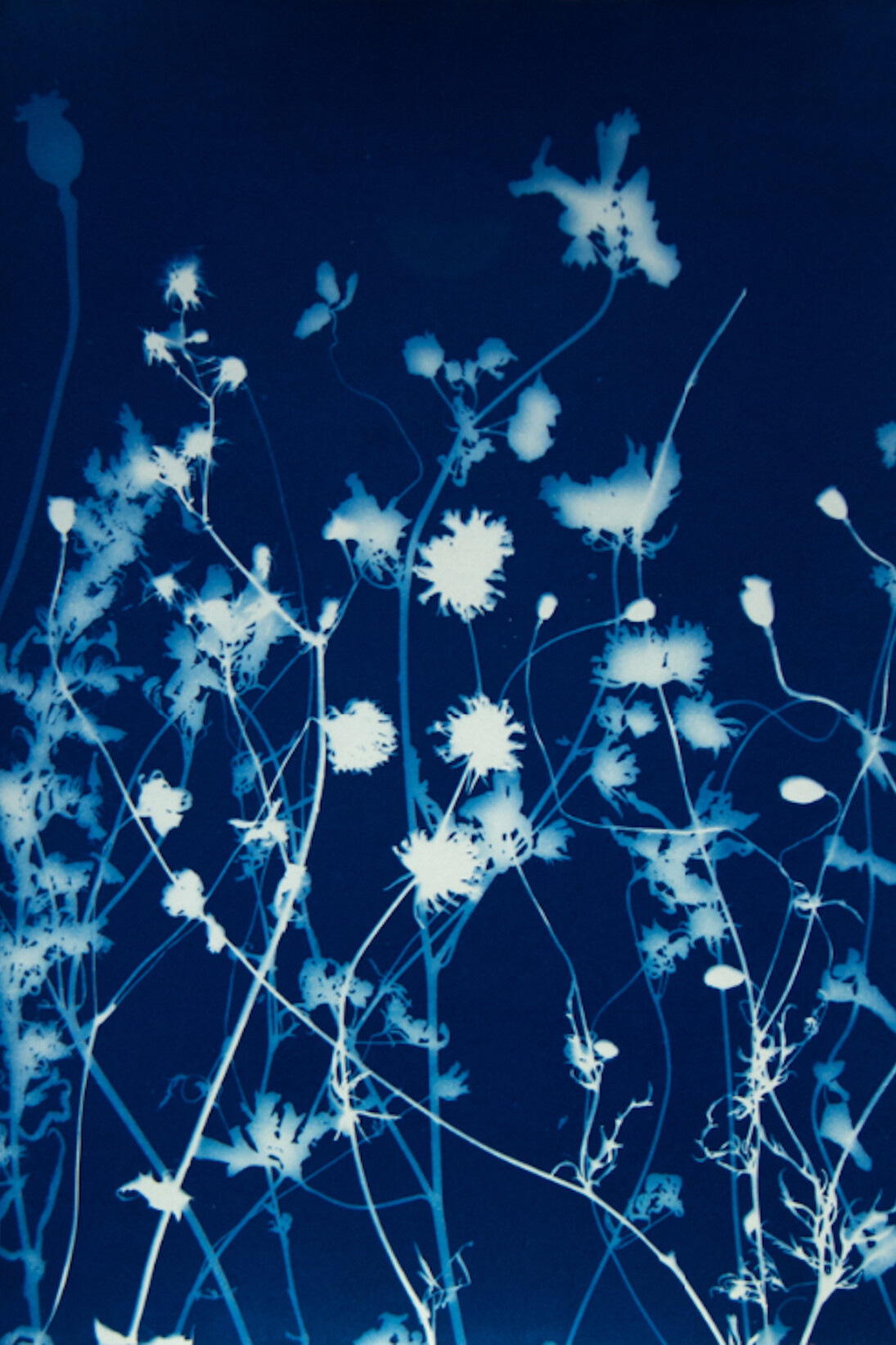 Pipo Nguyen-duy, Untitled L30, 1998. Courtesy of ClampArt