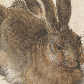 Albrecht Dürer. Courtesy of Albertina