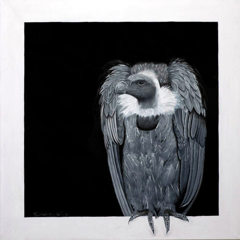 Fabrizio Evangelisti. 'Anelando carogne', 2015. 100x100 cm