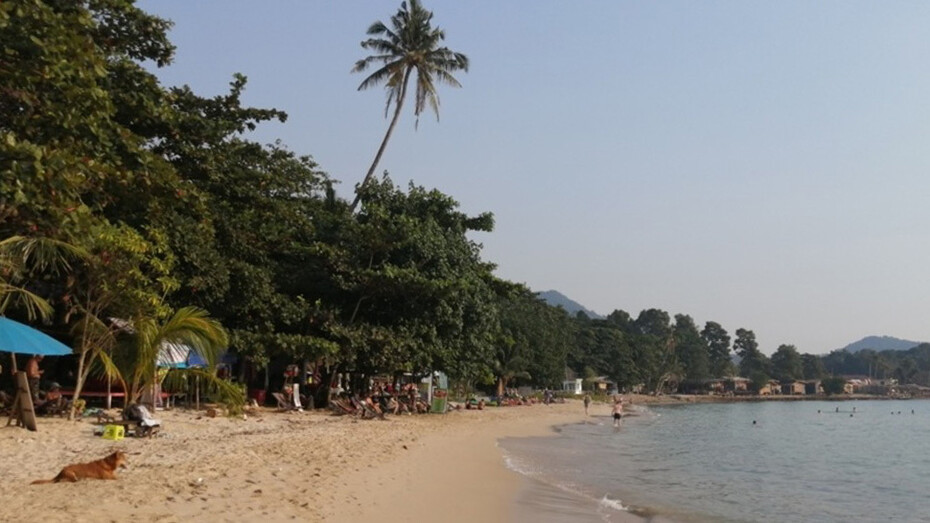 Lonely Beach