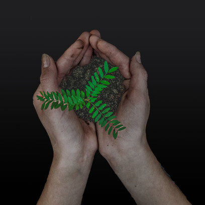 Sustainable agriculture will sequester enormous amounts of carbon in soil and biomass with enormous benefits