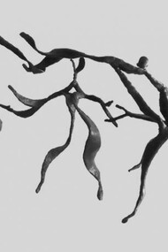 Pascal Pistacio, Une danse