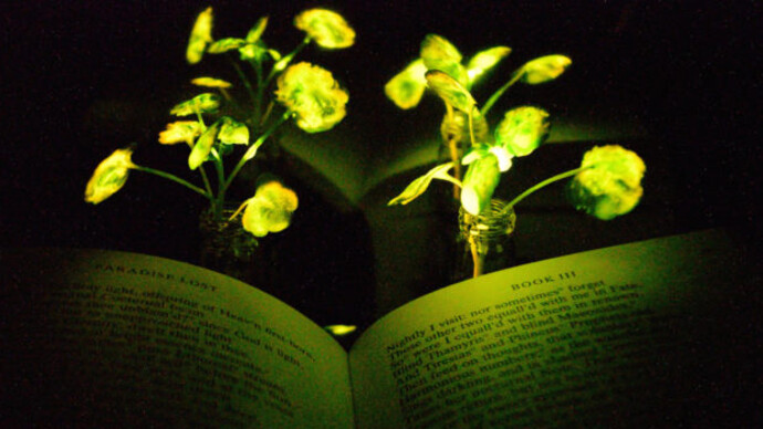 Nature. Courtesy of Cooper Hewitt