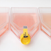 Serial Eater. Courtesy of CID au Grand-Hornu